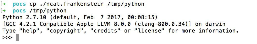python x86_64 binary will execute